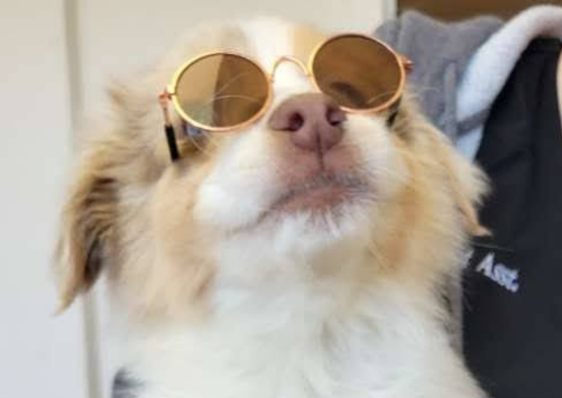 Parkside Animal Care Center Green Bay Veterinary Hospital